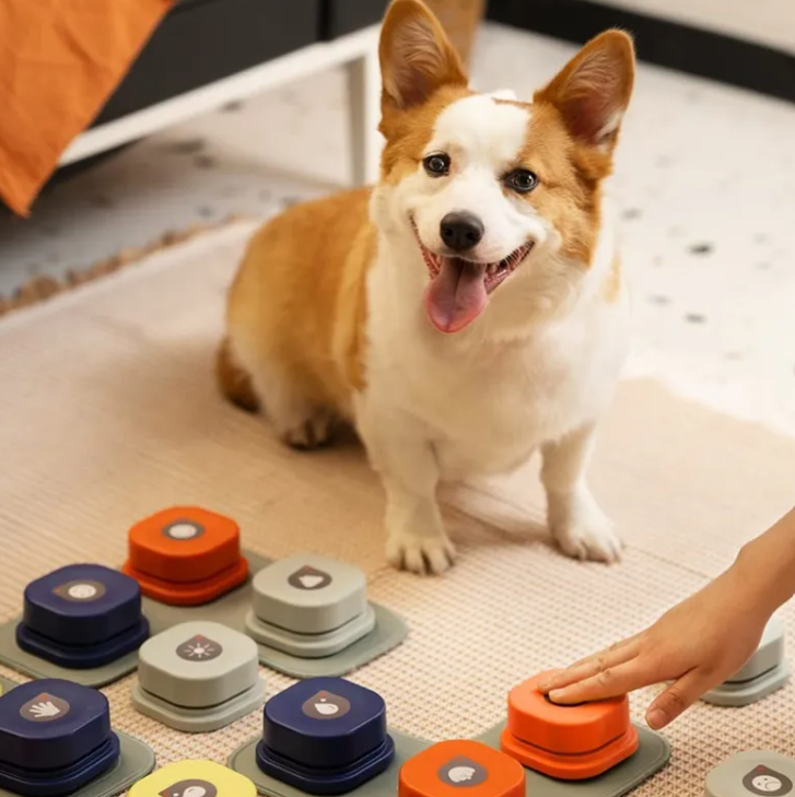 Pop Socket for Pets Pet Toy Fun for Pets Fidget Toy