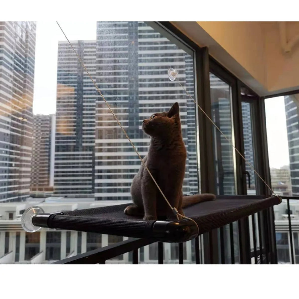 New Suction Cup Splicing Cat Window Hammock
