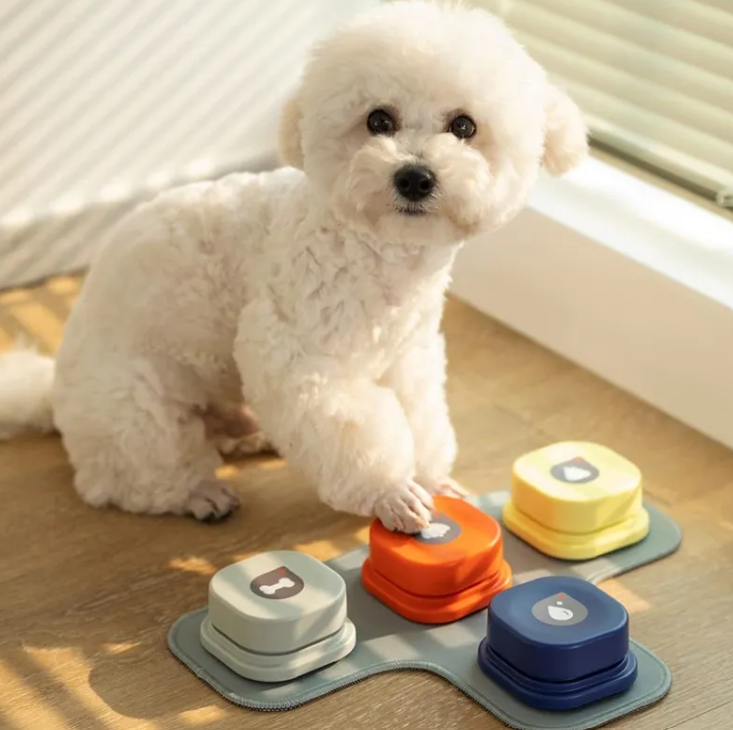 Pop Socket for Pets Pet Toy Fun for Pets Fidget Toy