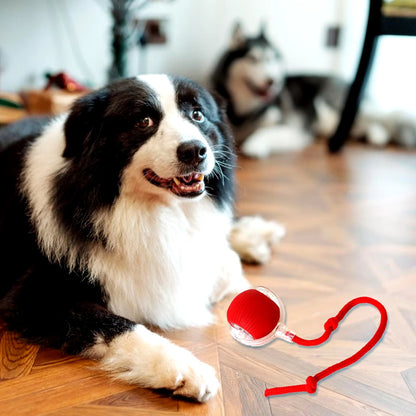 Interactive Rechargeable Cat and Dog Rolling Ball Toy - Smart Pet Entertainment