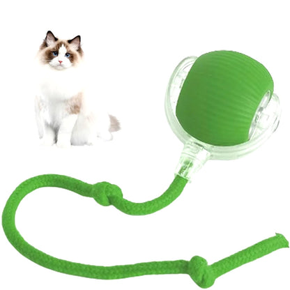 Interactive Rechargeable Cat and Dog Rolling Ball Toy - Smart Pet Entertainment