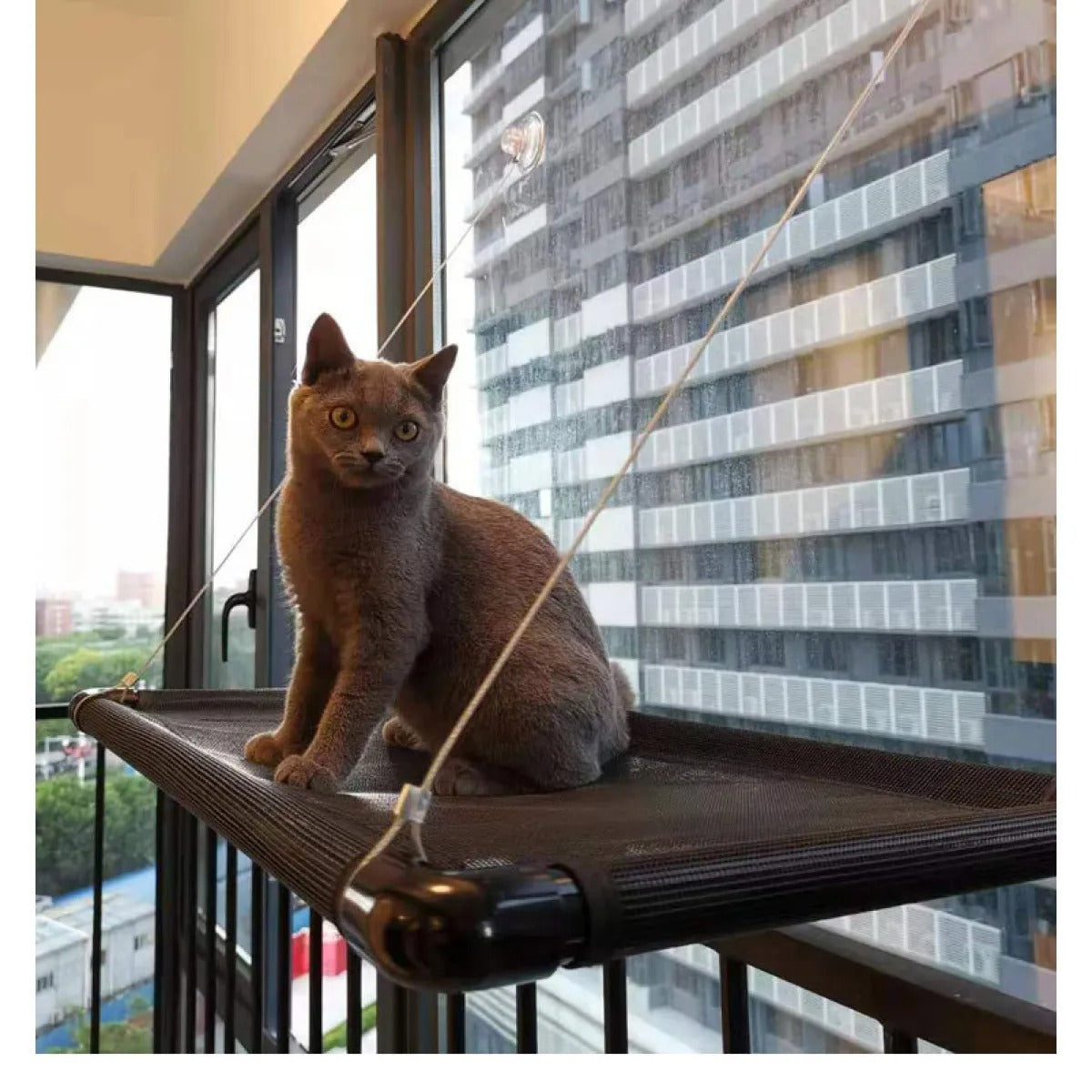 New Suction Cup Splicing Cat Window Hammock