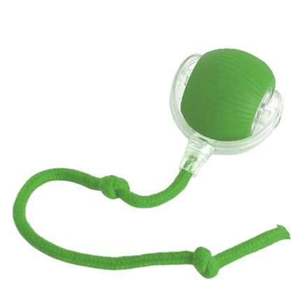 Interactive Rechargeable Cat and Dog Rolling Ball Toy - Smart Pet Entertainment