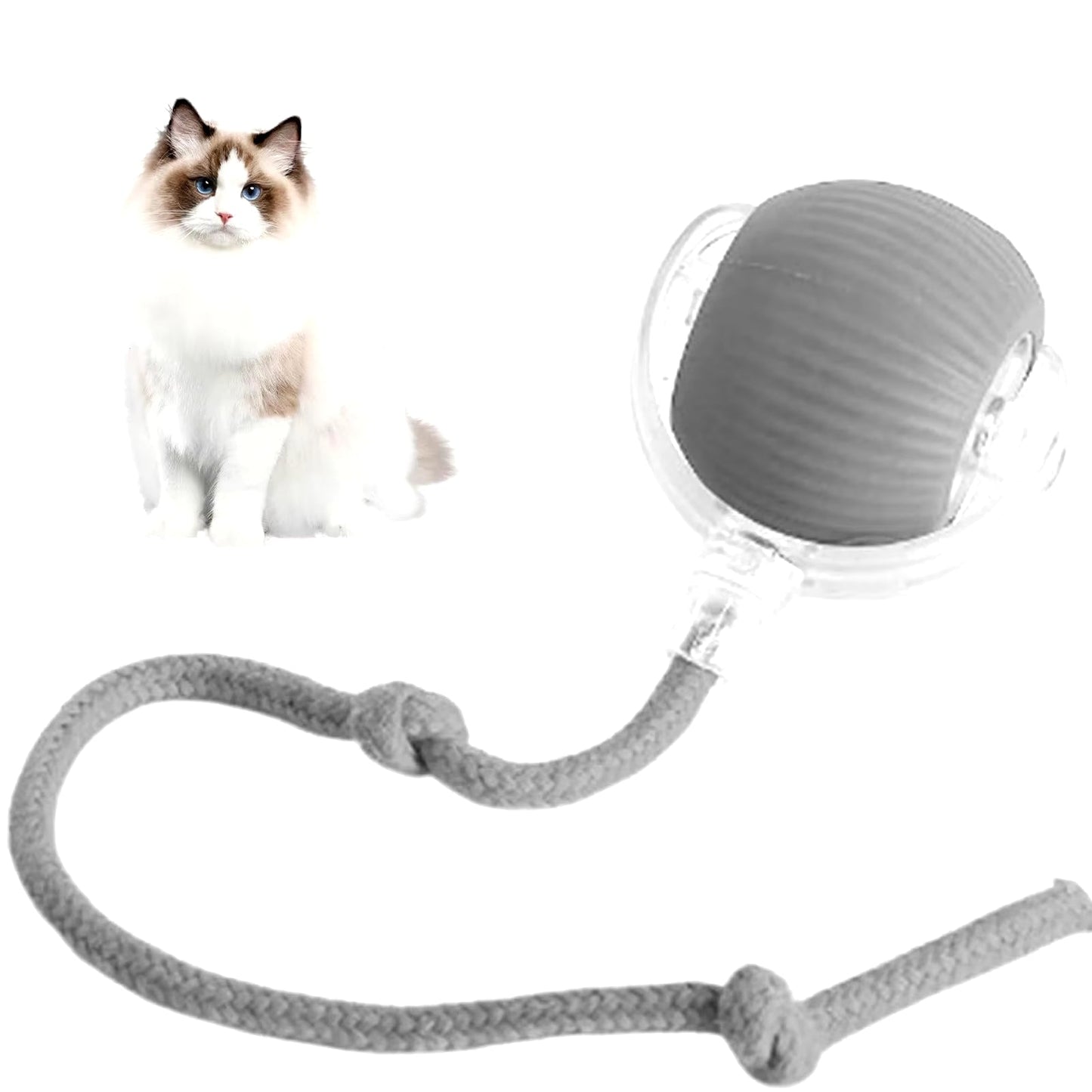 Interactive Rechargeable Cat and Dog Rolling Ball Toy - Smart Pet Entertainment