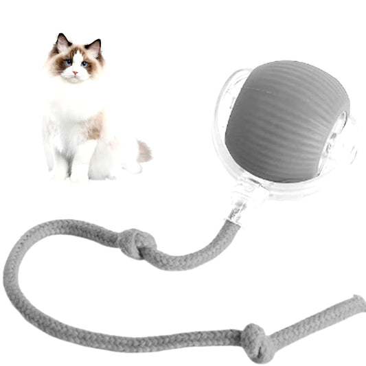 Interactive Rechargeable Cat and Dog Rolling Ball Toy - Smart Pet Entertainment